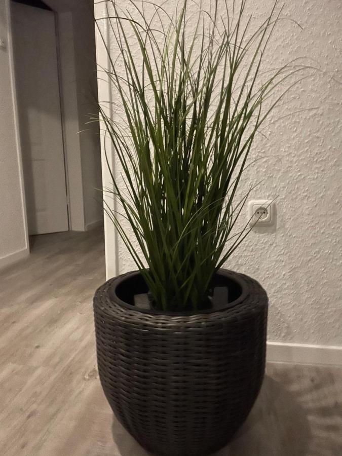 Apartament Haus Mariechen Hooksiel Zewnętrze zdjęcie